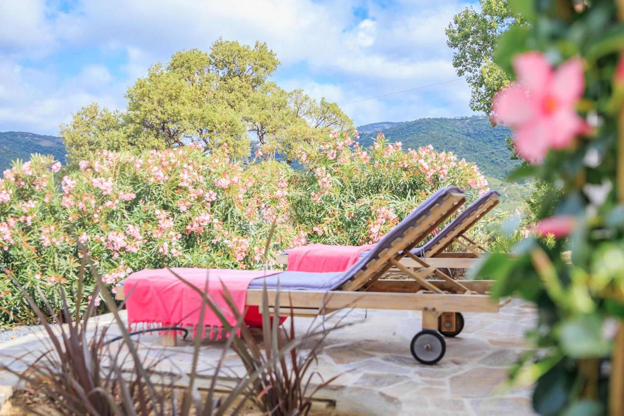 Villa Nais B&B Bormes-les-Mimosas Dış mekan fotoğraf