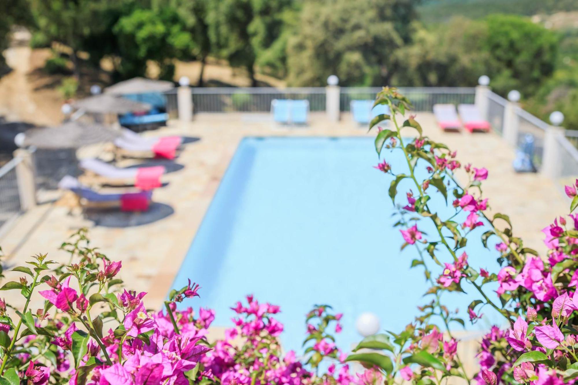 Villa Nais B&B Bormes-les-Mimosas Dış mekan fotoğraf