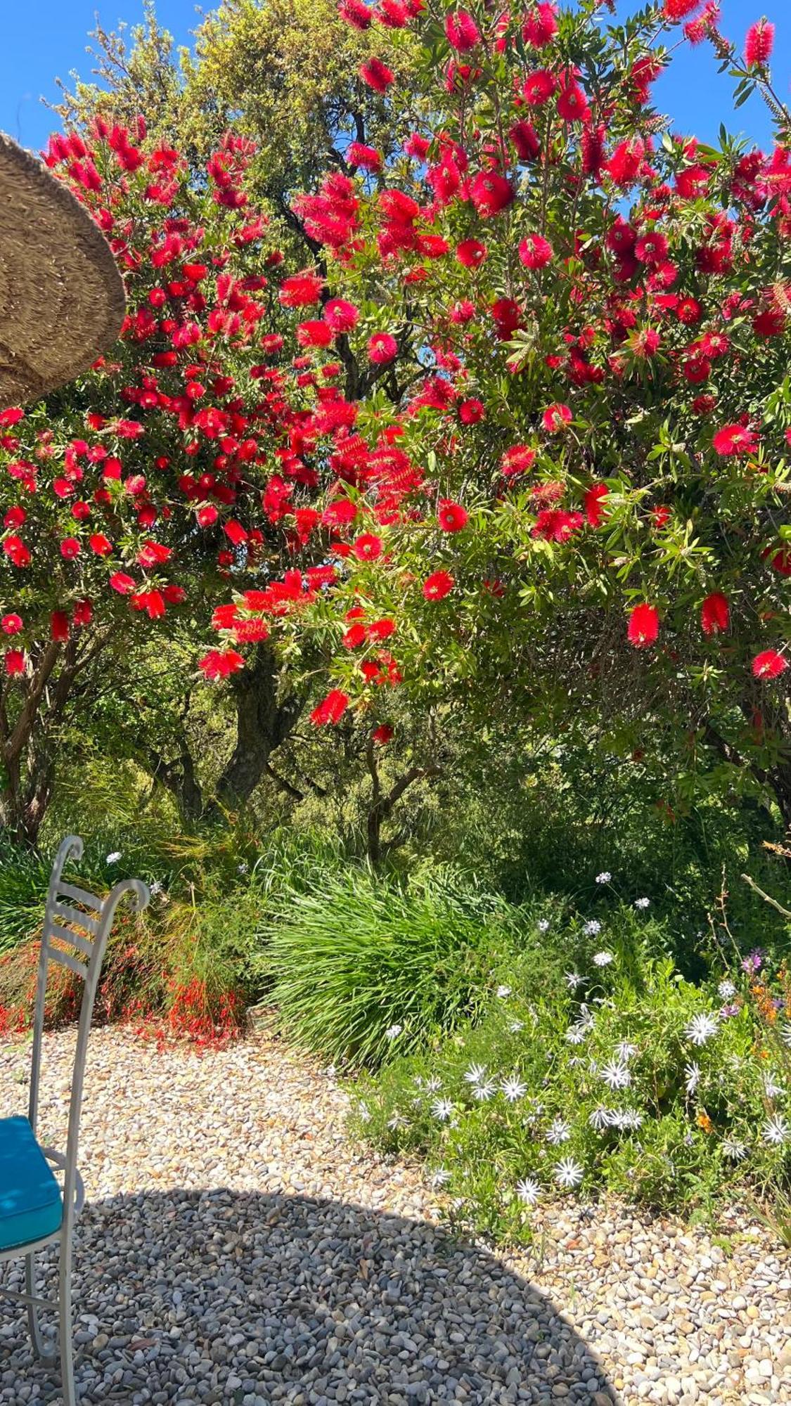 Villa Nais B&B Bormes-les-Mimosas Dış mekan fotoğraf