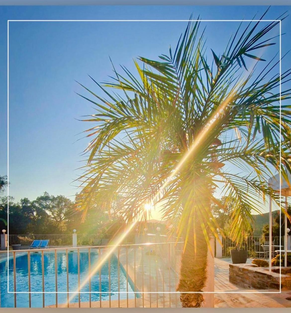 Villa Nais B&B Bormes-les-Mimosas Dış mekan fotoğraf